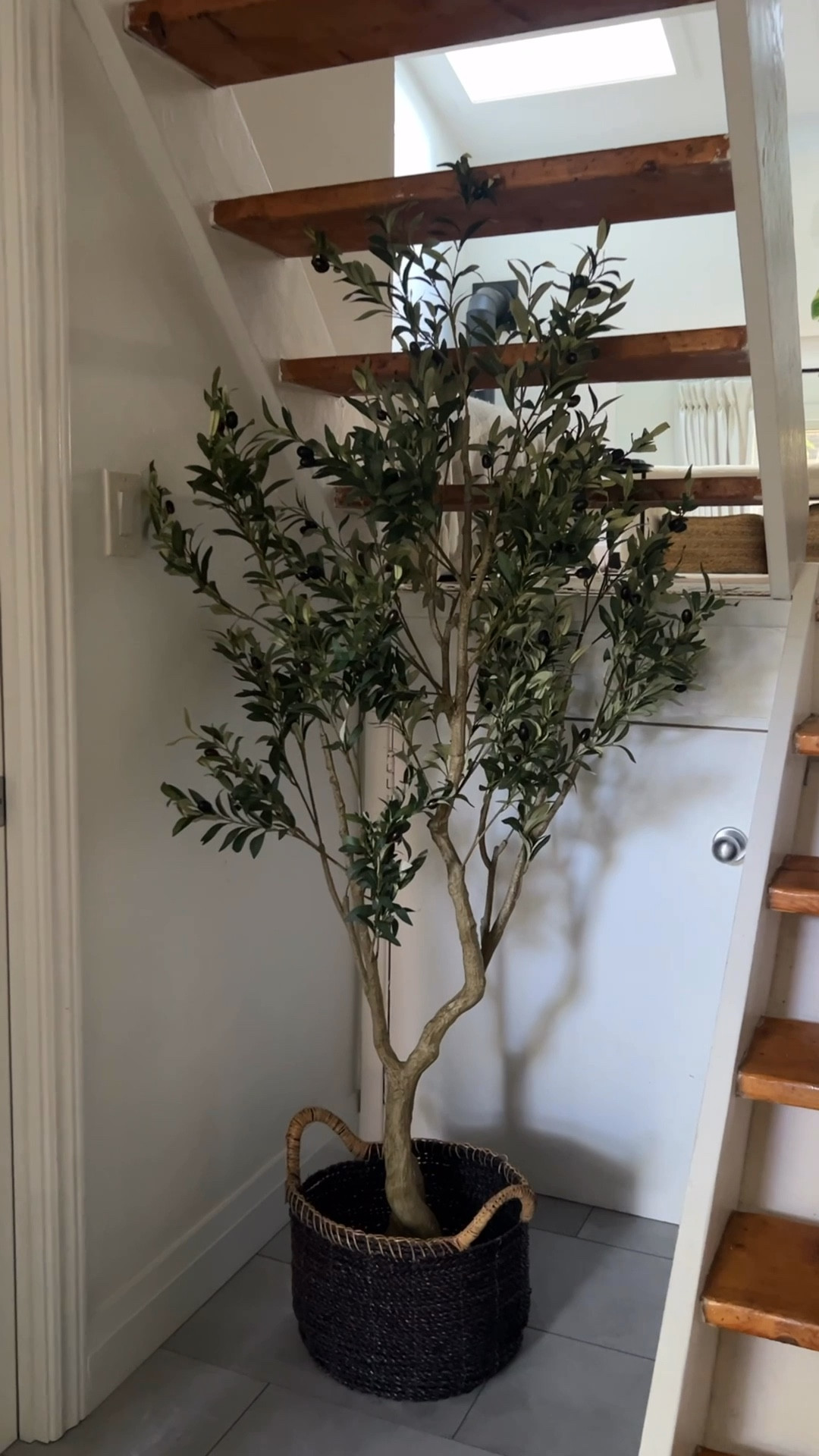 Prettiest faux olive tree ❤️ 