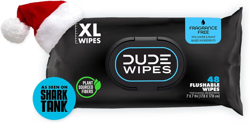 DUDE Wipes - Flushable Wipes - Stocking Stuffers - 1 Pack, 48 Count - Unscented - Vitamin-E & Alo... | Amazon (US)