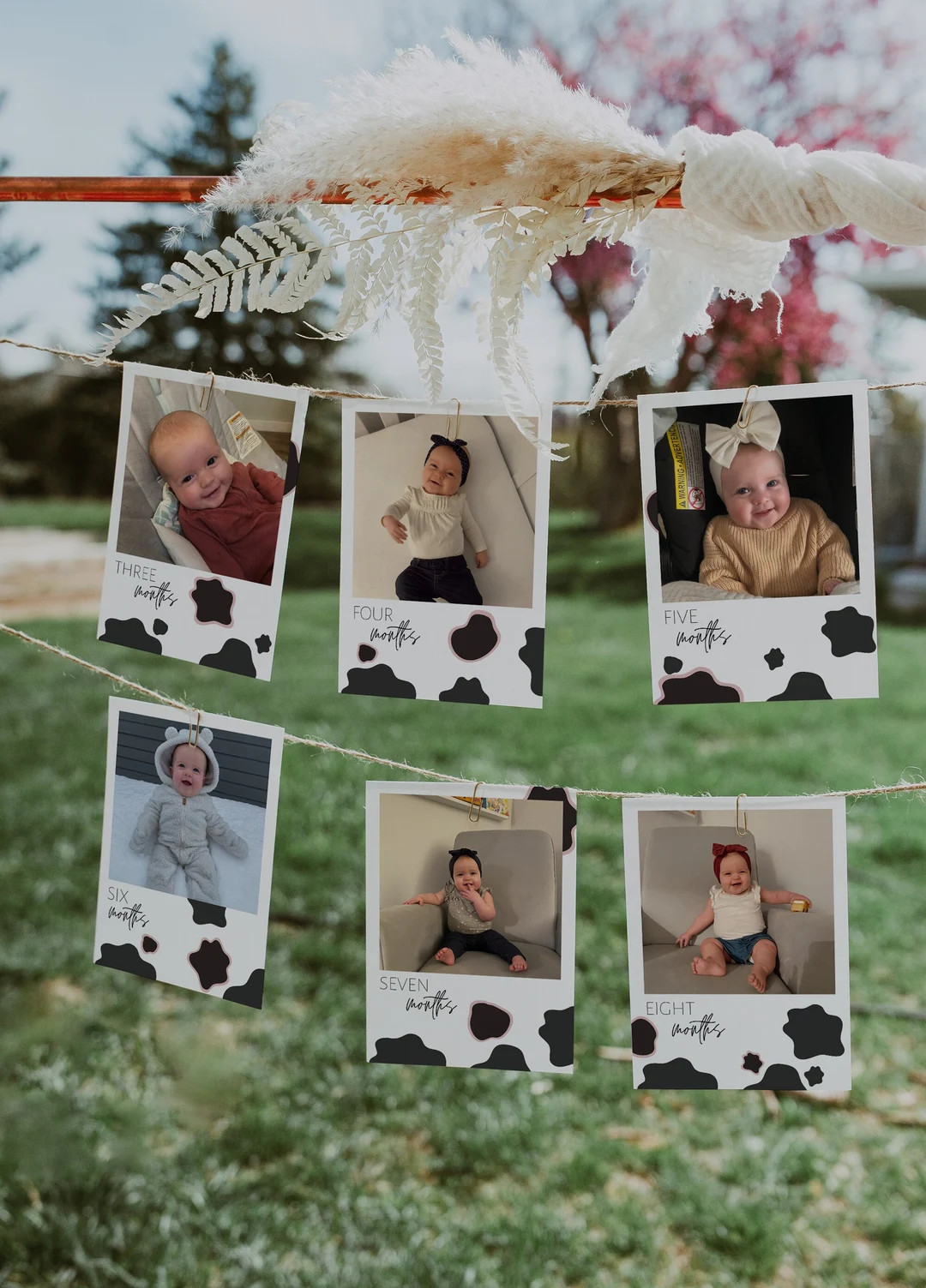 Editable Holy Cow I'm One Monthly Photo Banner, Cow First Birthday Banner, Farm Baby First Year M... | Etsy (US)