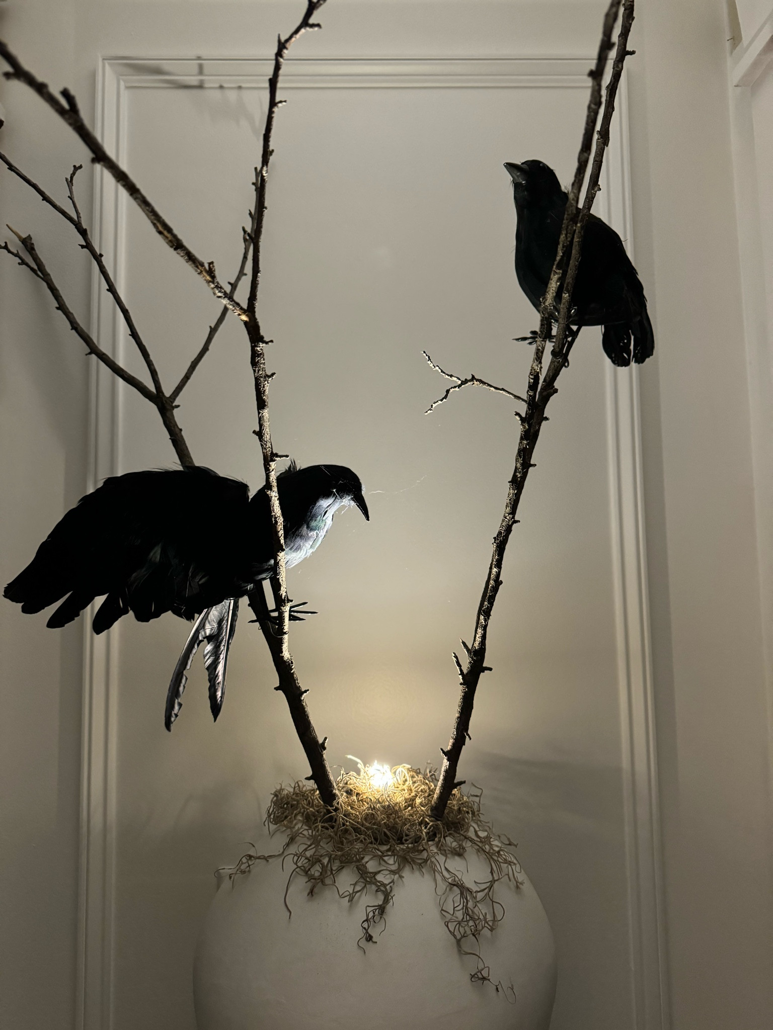 Ravens, moss & spotlight 🐦‍⬛

#LTKSeasonal #LTKHome