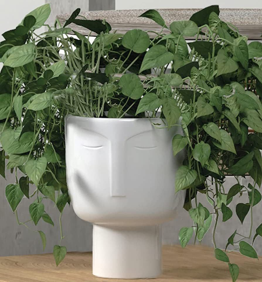 Ceramic 8 Inch Tall Head Planter Pot. Self Watering Face Planter Pot w Removable Inner Pot. White... | Amazon (US)