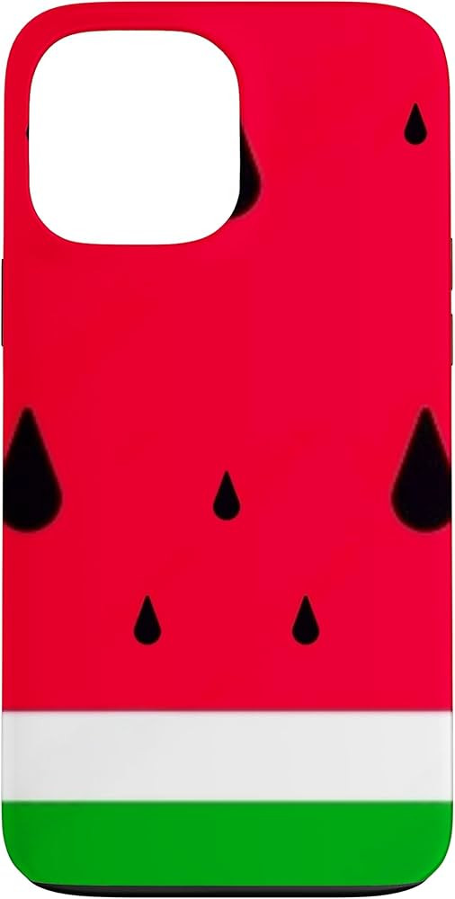 Watermelon Theme Case for iPhone 13 Pro Max | Amazon (US)