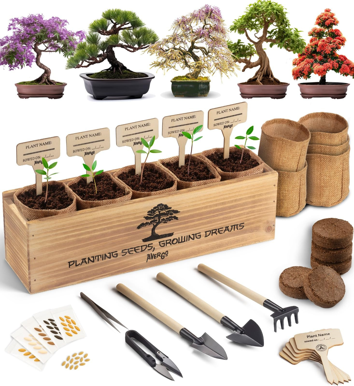 Bonsai tree kit - Complete DIY kit | Amazon (US)