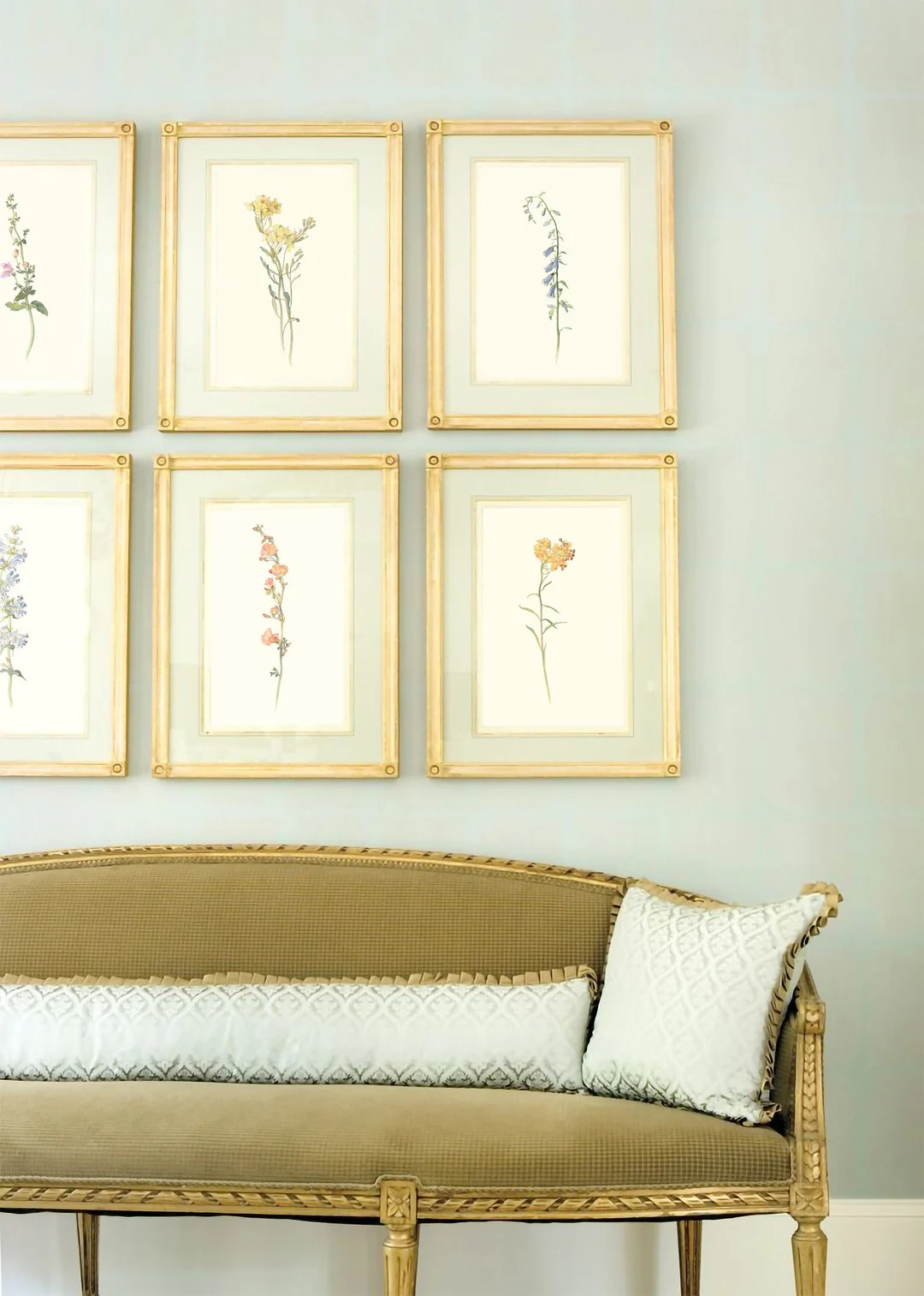 Collection of Vintage Botanical Prints, Set of 12 Antique Botanical Prints, Rustic Botanical Wall... | Etsy (US)