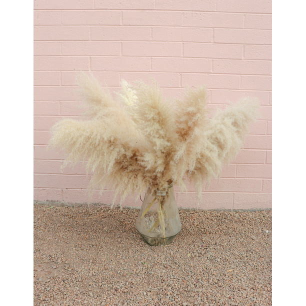 Pampas Grass Set of 3 Luxurious | Walmart (US)