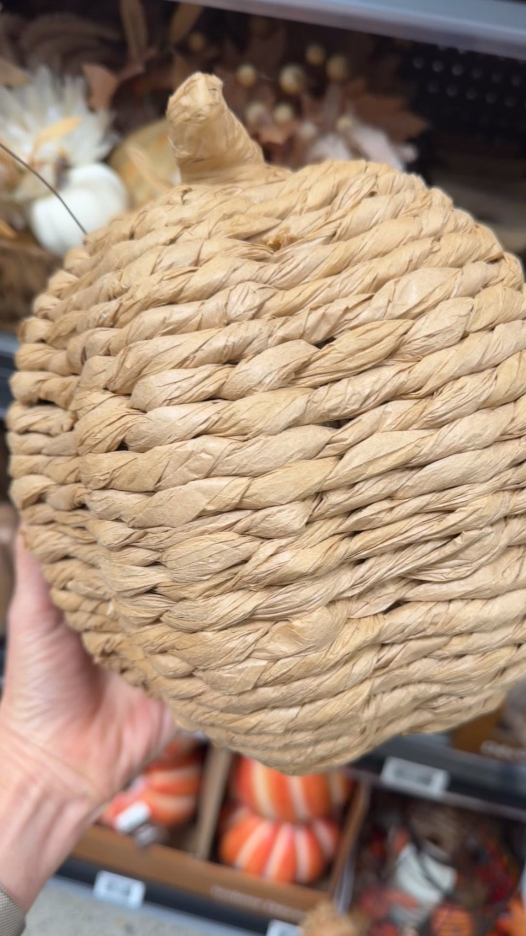 Fall decor woven pumpkins

#LTKHome