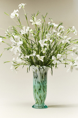 Stella Vase | Anthropologie (US)