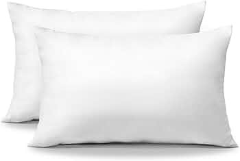 OTOSTAR Pack of 2 Throw Pillow Inserts, 12 x 20 Cushion Inner Soft Fluffy Plump Stuffer Cushion P... | Amazon (US)