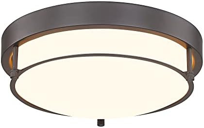 12 inch Flush Mount Ceiling Light, 2-Light Close to Ceiling Light Fixtures with Oil Rubbed Bronze... | Amazon (US)