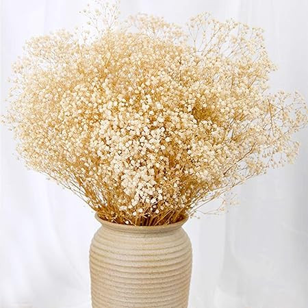 Ramo de flores secas de aliento de bebé, 17 pulgadas, más de 2500 flores secas de color blanco ... | Amazon (US)