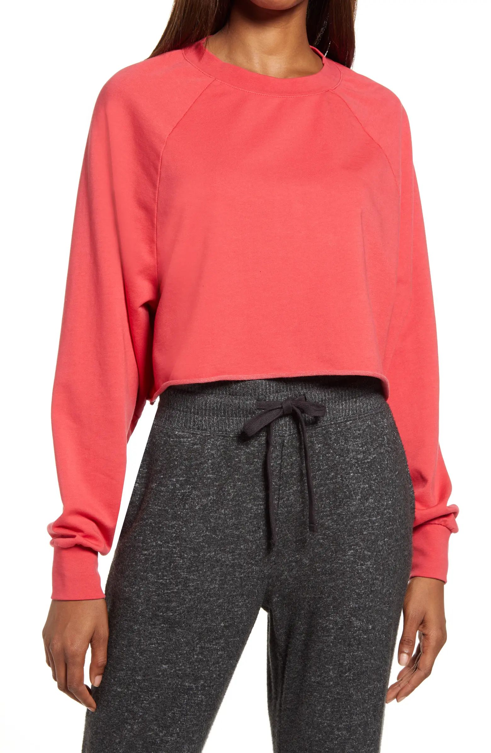 Crop Crewneck Sweatshirt | Nordstrom