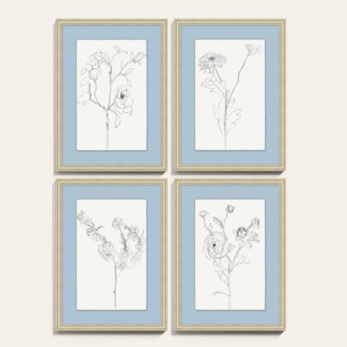 Botanical Sketch Art | Ballard Designs, Inc.