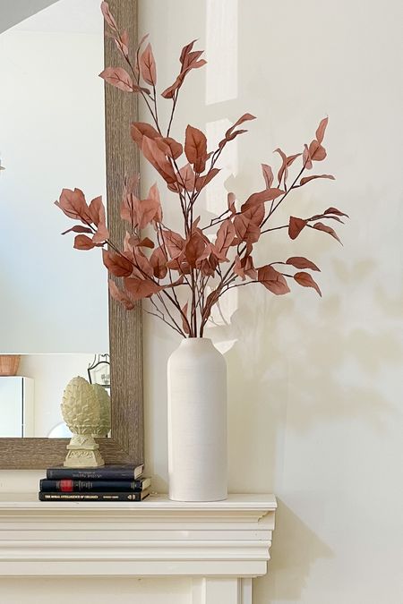 Such versatile Fall stems, perfect for neutral decor and I love it in this sleek modern ceramic vase. 

#LTKFind #LTKunder50 #LTKhome