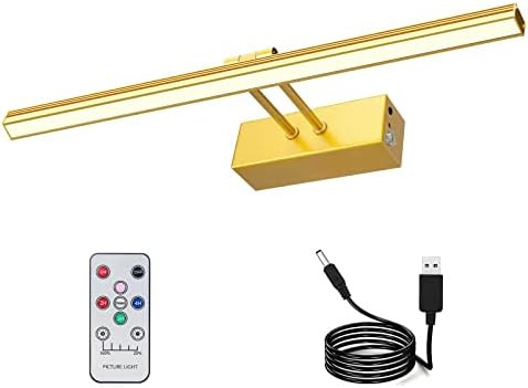 RAIFOOLLY Picture Light, 16" Metal Rechargeable Picture Lights for Paintings,Remote Control Displ... | Amazon (US)
