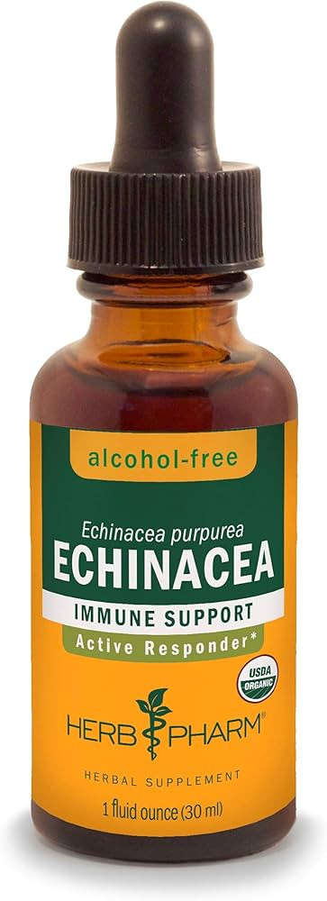 Herb Pharm Certified Organic Echinacea Root Liquid Extract for Immune System Support, Alcohol-Fre... | Amazon (US)