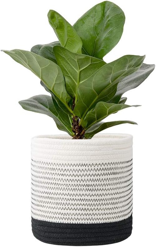 FairyLavie 8'' Cotton Rope Plant Basket, for 6'' - 7'' Planter, Reinforce Cotton Rope for Easier ... | Amazon (US)