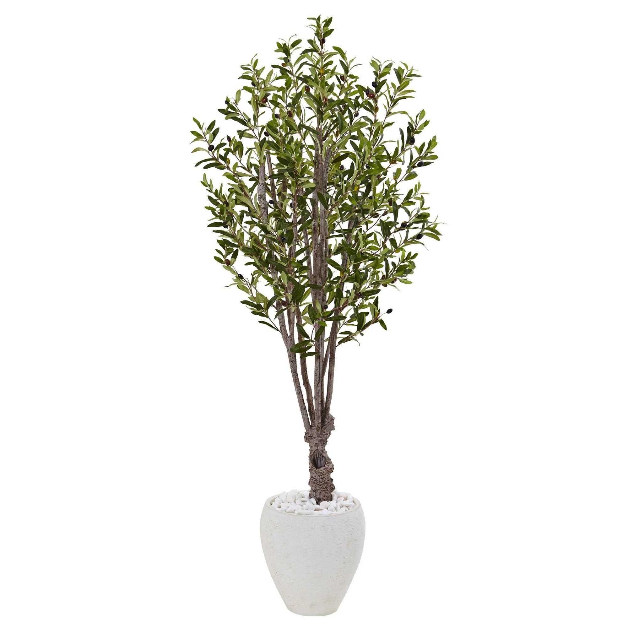 5’ Olive Tree in White Oval Planter | Nearly Natural