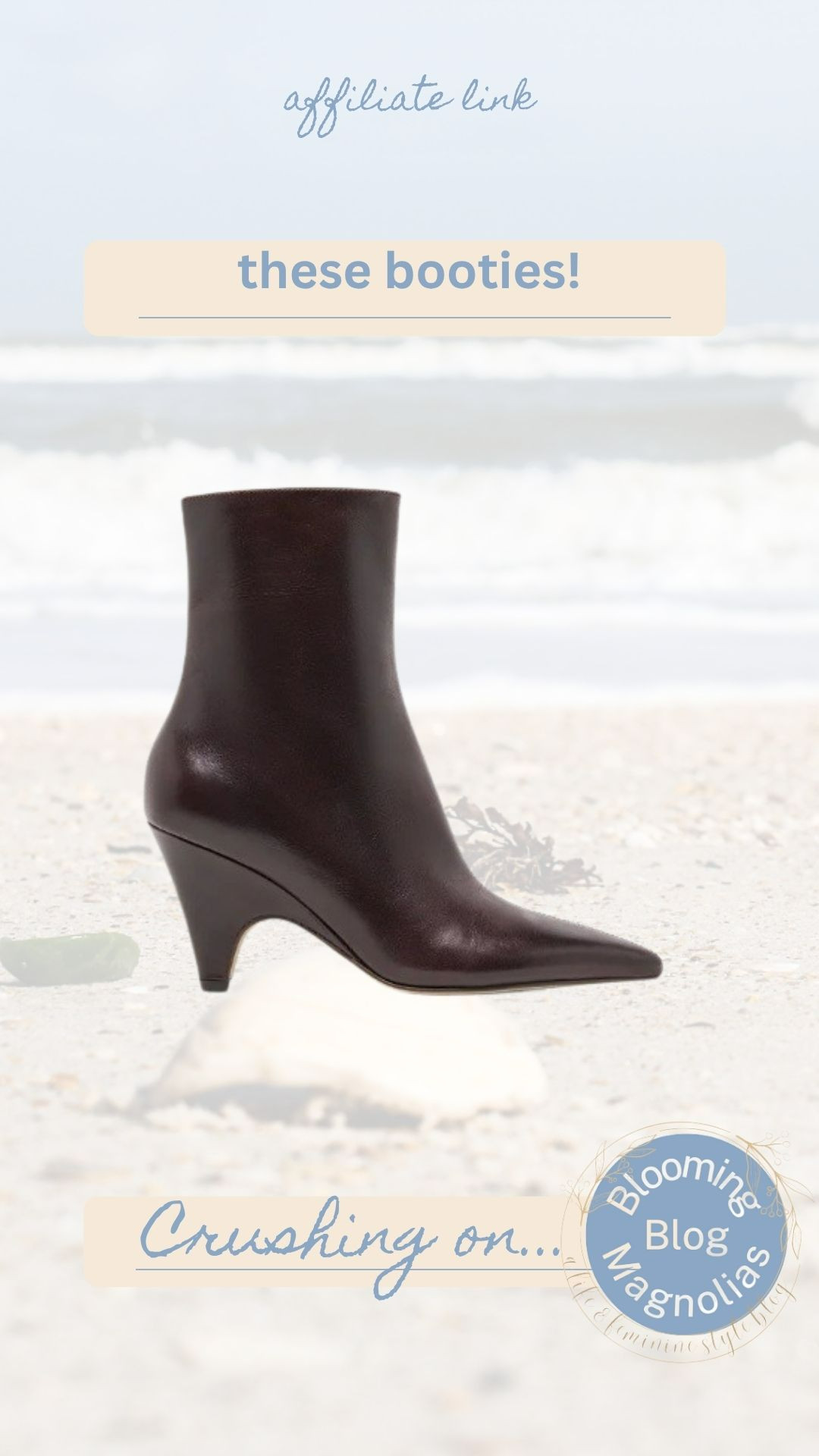 These chocolate leather booties! 

 