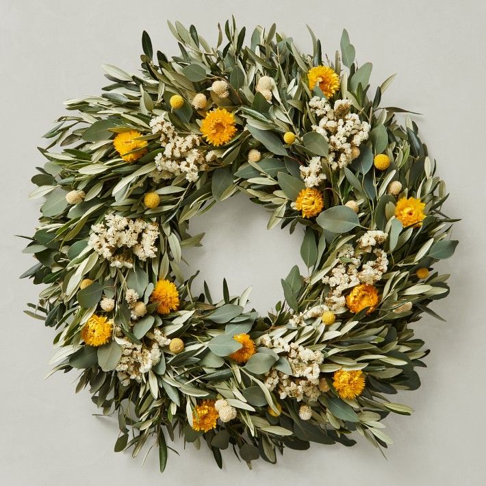Olive Billy Button Live Wreath | Williams-Sonoma