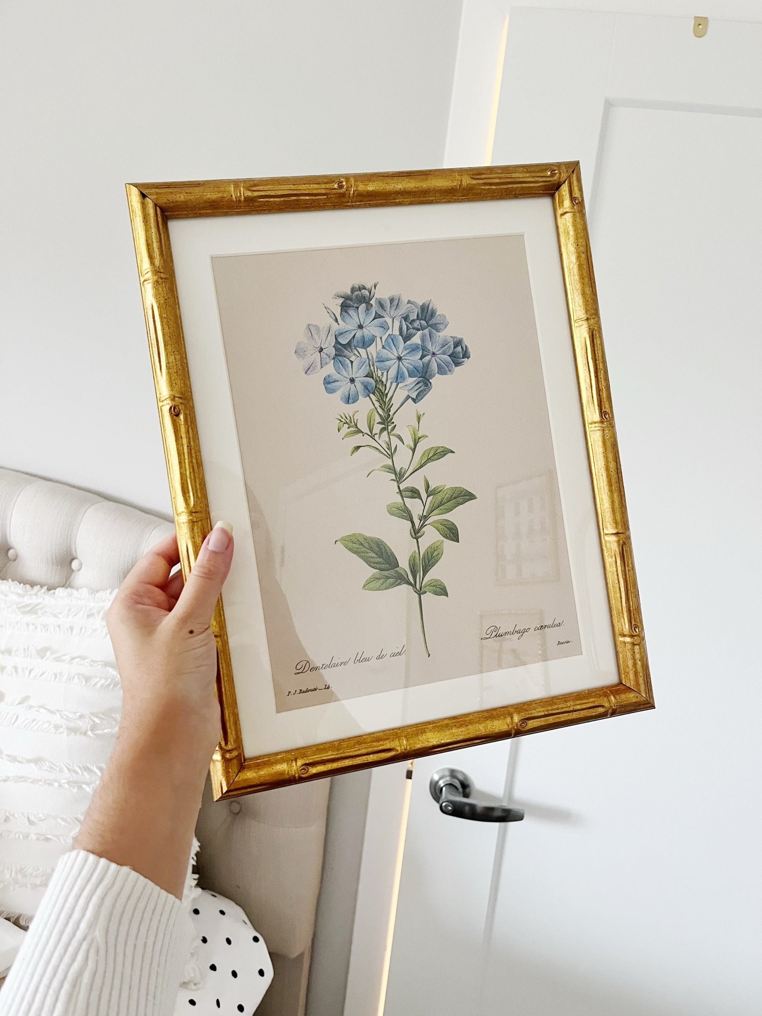Obsessed with this Amazon find ✨ 


Amazon must haves | Amazon finds | viral Amazon find | Amazon home decor | affordable home decor | | gifts for her Amazon home finds | amazon luxury finds | amazon aesthetic home

Affordable home decor | elevated home decor | elegant home decor | neutral home decor | white home decor | aesthetic home | home finds under $50 | apartment decor | affordable apartment finds | apartment finds | look for less | gift ideas | gold home accents | pretty decor | feminine decor | pretty but practical decor | French inspired decor | French aesthetic | Nancy meyers aesthetic | aesthetic Amazon home finds | style | pink home decor | cozy home | spring decor | renter friendly diy

#LTKSeasonal #LTKHome #LTKSaleAlert