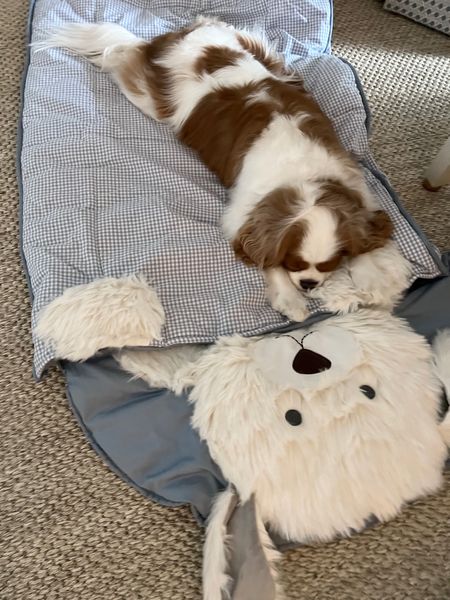 The cutest sleeping bag! Birdie likes it too. My SIL gave this to Jennings for his birthday and it’s adorable. Cute Easter basket idea if you’re looking for something big. Could do a trail of eggs to this gift! 

#LTKkids #LTKGiftGuide #LTKfamily