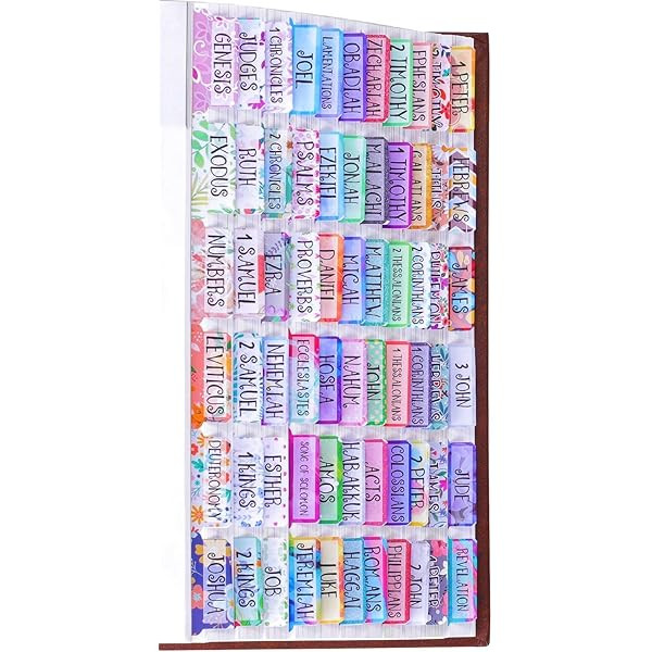Bible Tabs Old and New Testament, Bible Tabs for Women/Men/Kids, 100 Pcs Bible Book/Index Tabs for S | Amazon (US)