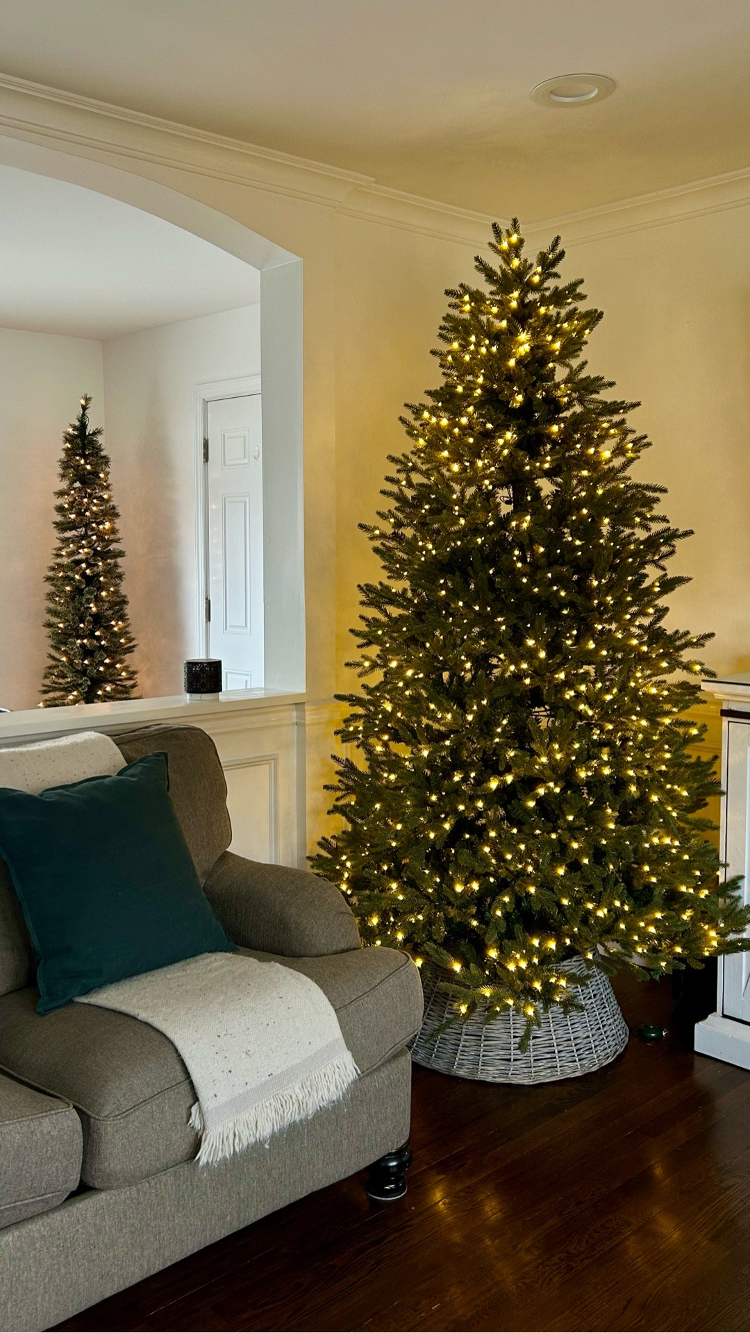 Ohh Christmas tree Ohh Christmas tree 🎶 

This is the Grand Duchess Balsam Fur Tree from Home Depot, a best seller and for good reason.

Available in different sizes (mine is 7.5ft). Pre-lit with led non heating light, warm white light or cool multicolored. Easy set up. 

Good quality for price point.

#LTKHome #LTKHoliday #LTKSeasonal