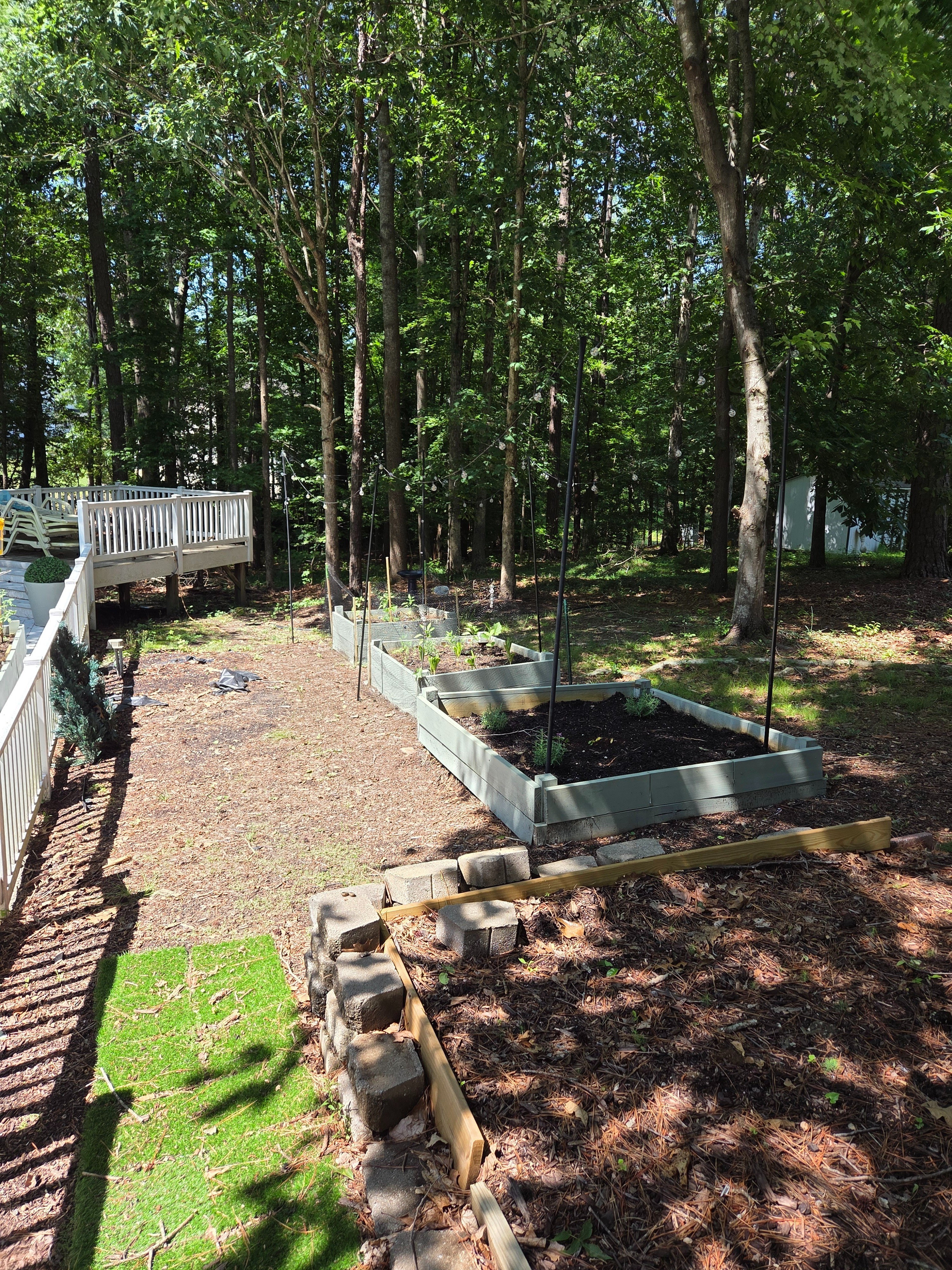 Garden beds are taking shape!
Pretty jazzed it’s working since trying to navigate what is and is NOT sprayed with poison at the store is maddening 

I liked a few books I like re gardening 
They helped us a lot 

#LTKvlog #LTKstorytime #LTKfitnessgoals