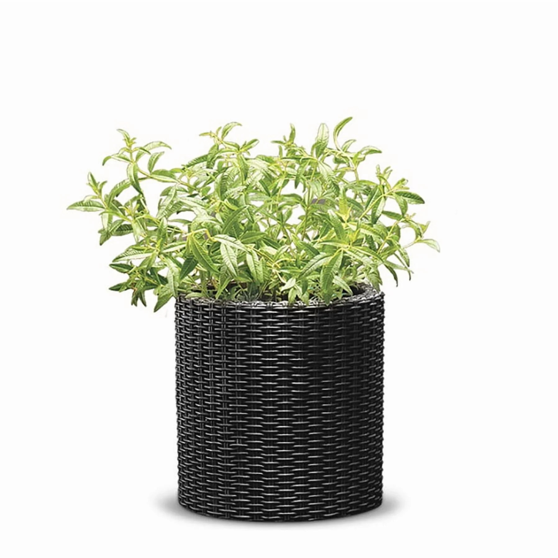 Keter Small Cylinder Rattan Resin Planter for Indoor and Outdoor Plants Ideal for Patio and Porch... | Walmart (US)