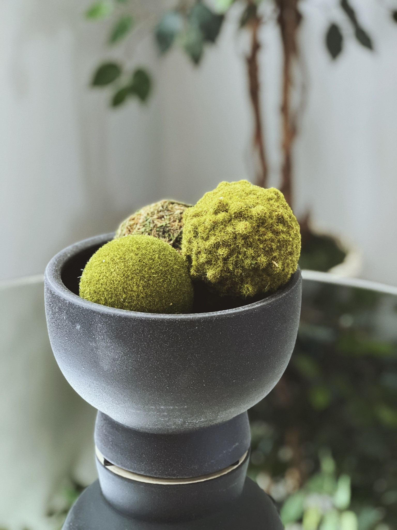 Love this new planter. | planter | home finds | home decor | moss balls | greenery | black planter | decor | Walmart | Walmart finds | spring decor | 

#LTKFind #LTKstyletip #LTKhome