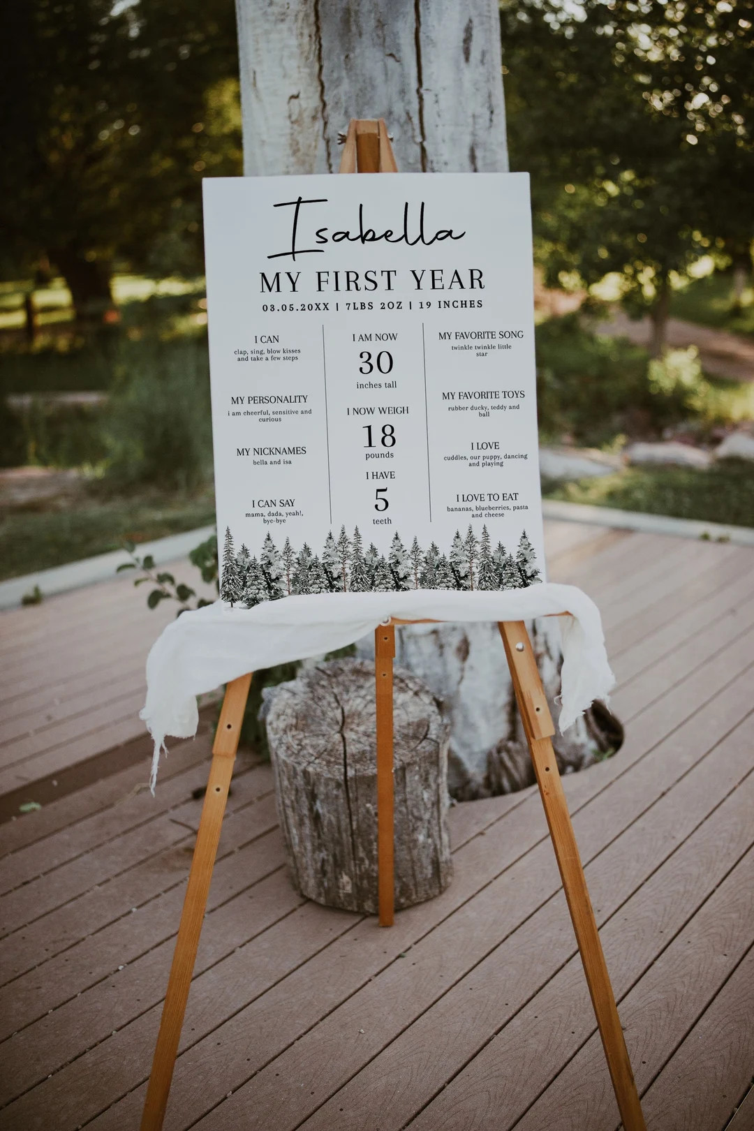 Winter Onederland First Birthday Milestone Board Template - Etsy | Etsy (US)