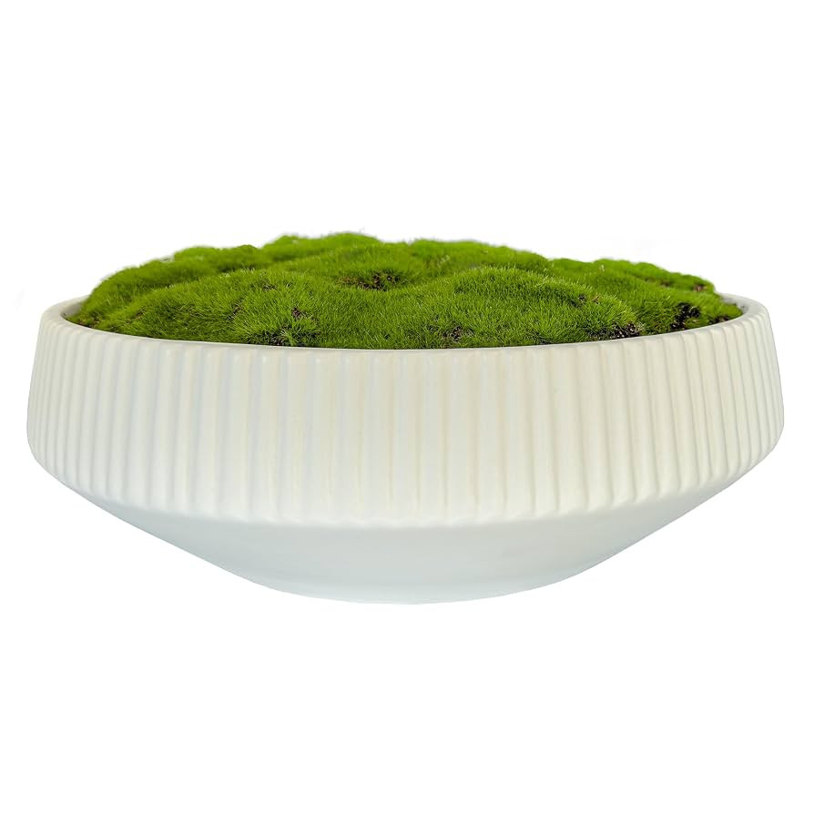 Moss Bowl | 12" Diameter | Artificial | Lightweight Ceramic | Fluted Bowl | Home Décor | Amazon (US)