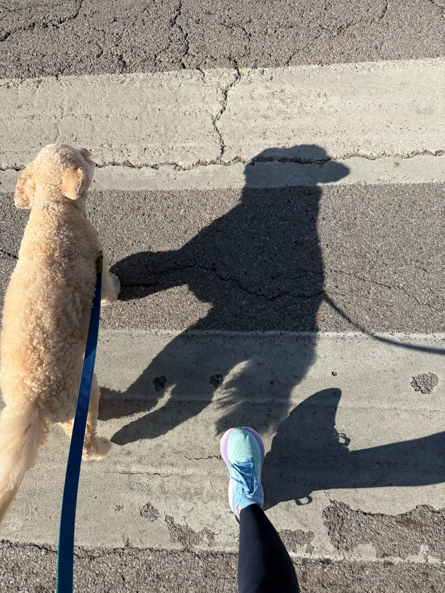 My go to walking shoes! 👟

#LTKActive #LTKSaleAlert