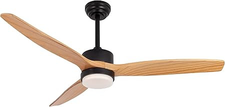 RACCROC Ceiling Fans with Lights Remote Control,52inch 3CCT 22W Lights Indoor Outdoor Ceiling Fan... | Amazon (US)