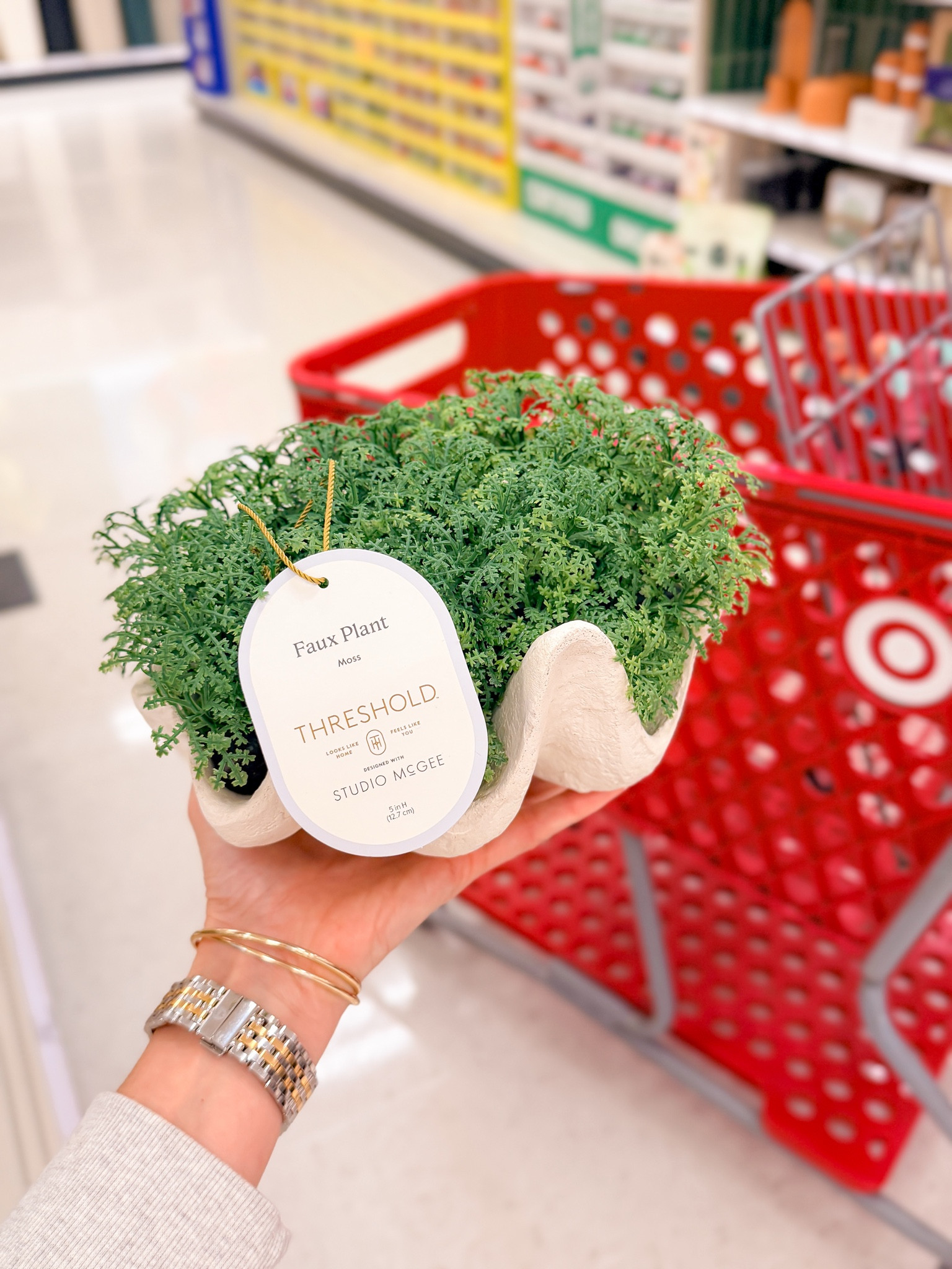 Shell and moss decoration at Target.