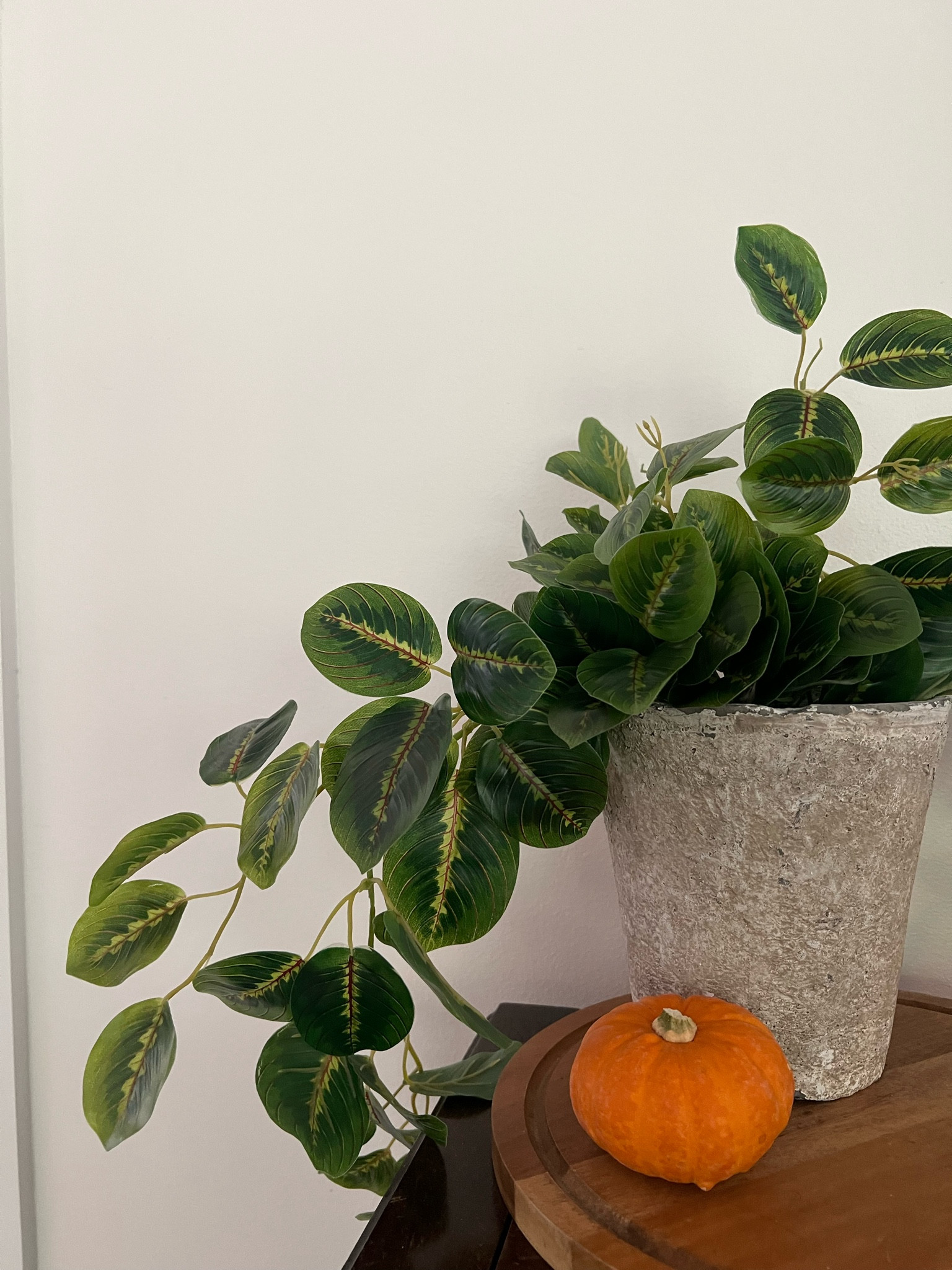 #LTKSeasonal #LTKhome #LTKHoliday