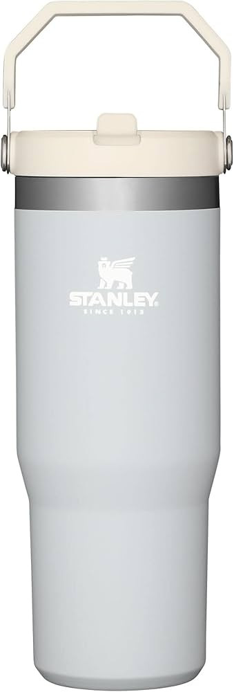 Stanley IceFlow Stainless Steel Tumbler with Straw, Vacuum Insulated Water Bottle for Home, Offic... | Amazon (US)