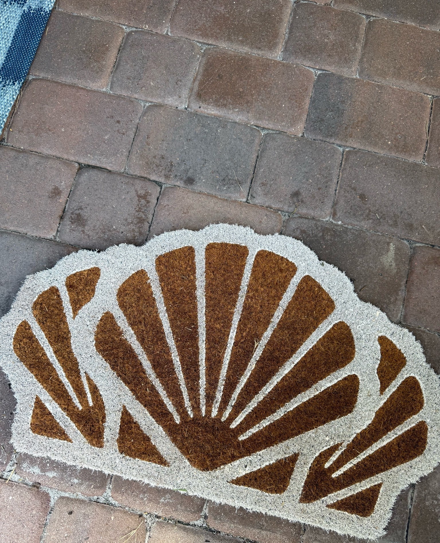 Cute new rug on our lanai 🤍 shell rug, target, home decor, summer

#LTKSeasonal #LTKHome #LTKvlog