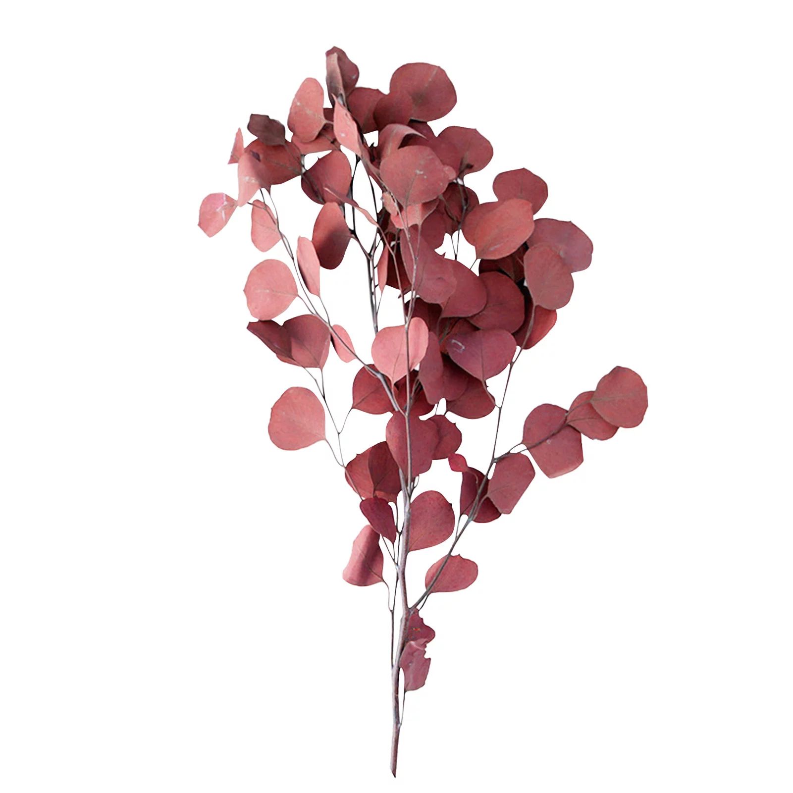 Famure Simulation pendant|Eucalyptus Leaves Bouquet Eternal Dried Flower for Wedding Decor | Walmart (US)