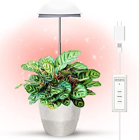 Grow Light for Indoor Plants，20W Plant Light 5 Dimmable Levels 3/6/12H 3 Timing Modes Height Ad... | Amazon (US)
