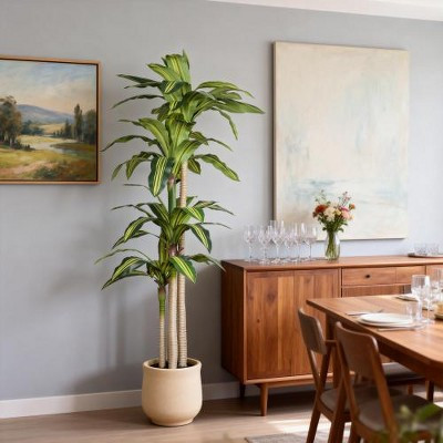 6' Artificial Dracaena Tree with Black Plastic Pot，Faux Indoor Plant for Home and Office Decor | Target