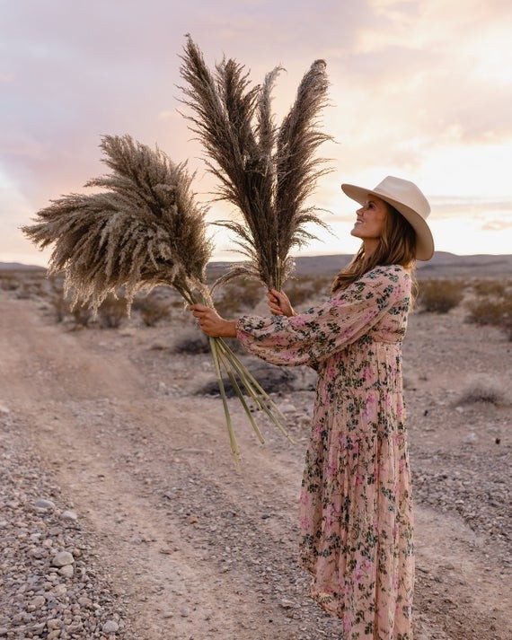 PAMPAS GRASS 3 Stems  TYPE 2 Natural 4 feet Dried Pampas by | Etsy | Etsy (US)