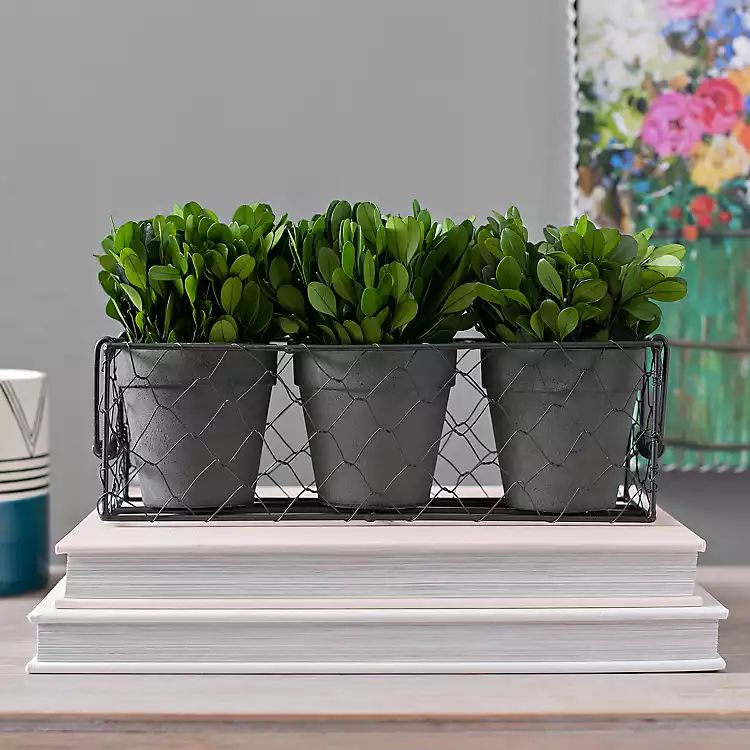 Green Boxwood Wire Basket Arrangement | Kirkland's Home