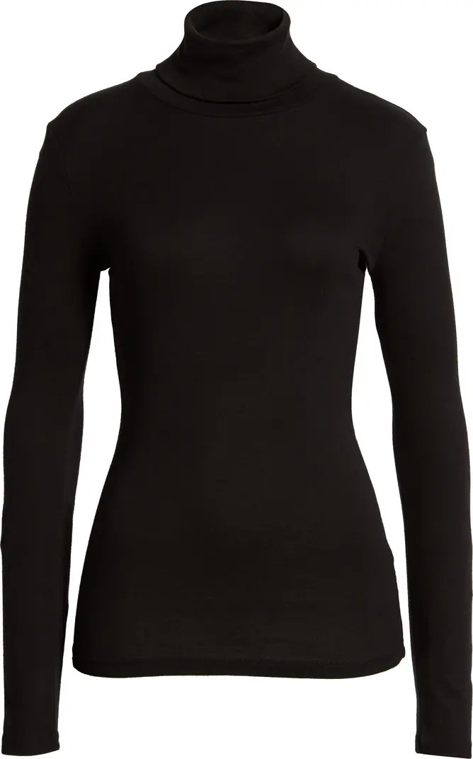 Fitted Turtleneck | Nordstrom