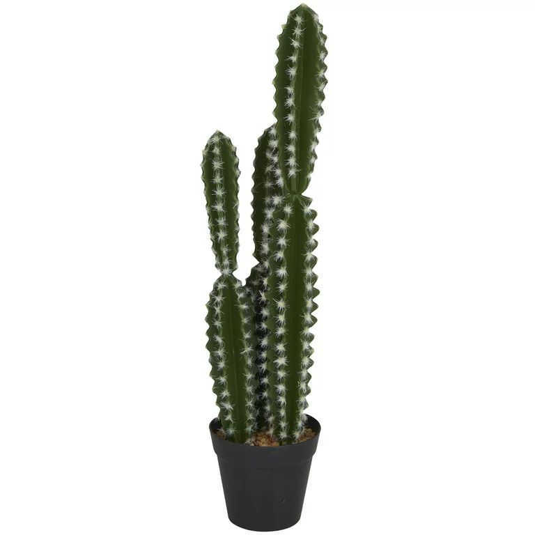 The Novogratz 23" Artificial Cactus Plant in Realistic Leaves and Black Round Pot | Walmart (US)