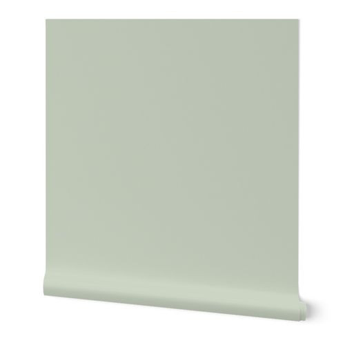 Wallpaper
Light sage green - solid color coordinate - light sea green, pastel green
 | Spoonflower
