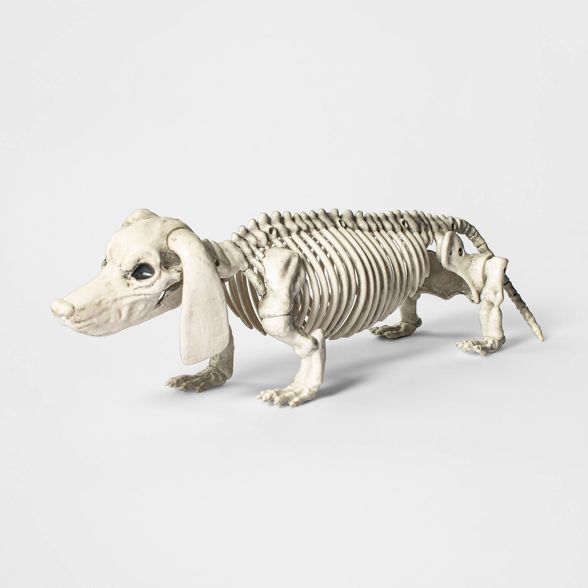 Skeleton Dachshund Halloween Decorative Prop - Hyde & EEK! Boutique™ | Target