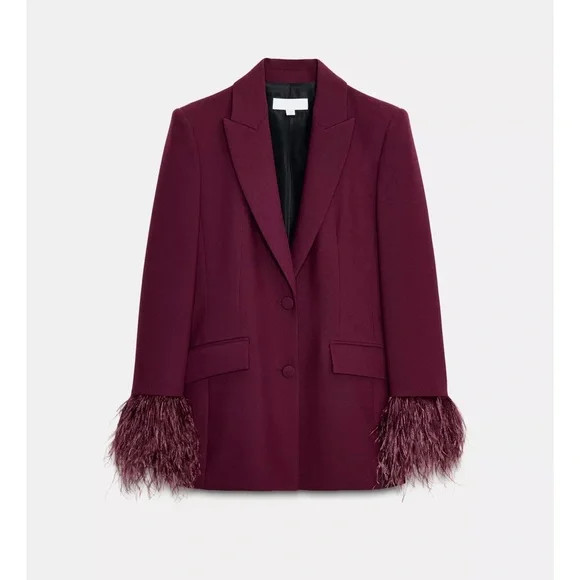 Zara FEATHER CUFF BLAZER | Poshmark