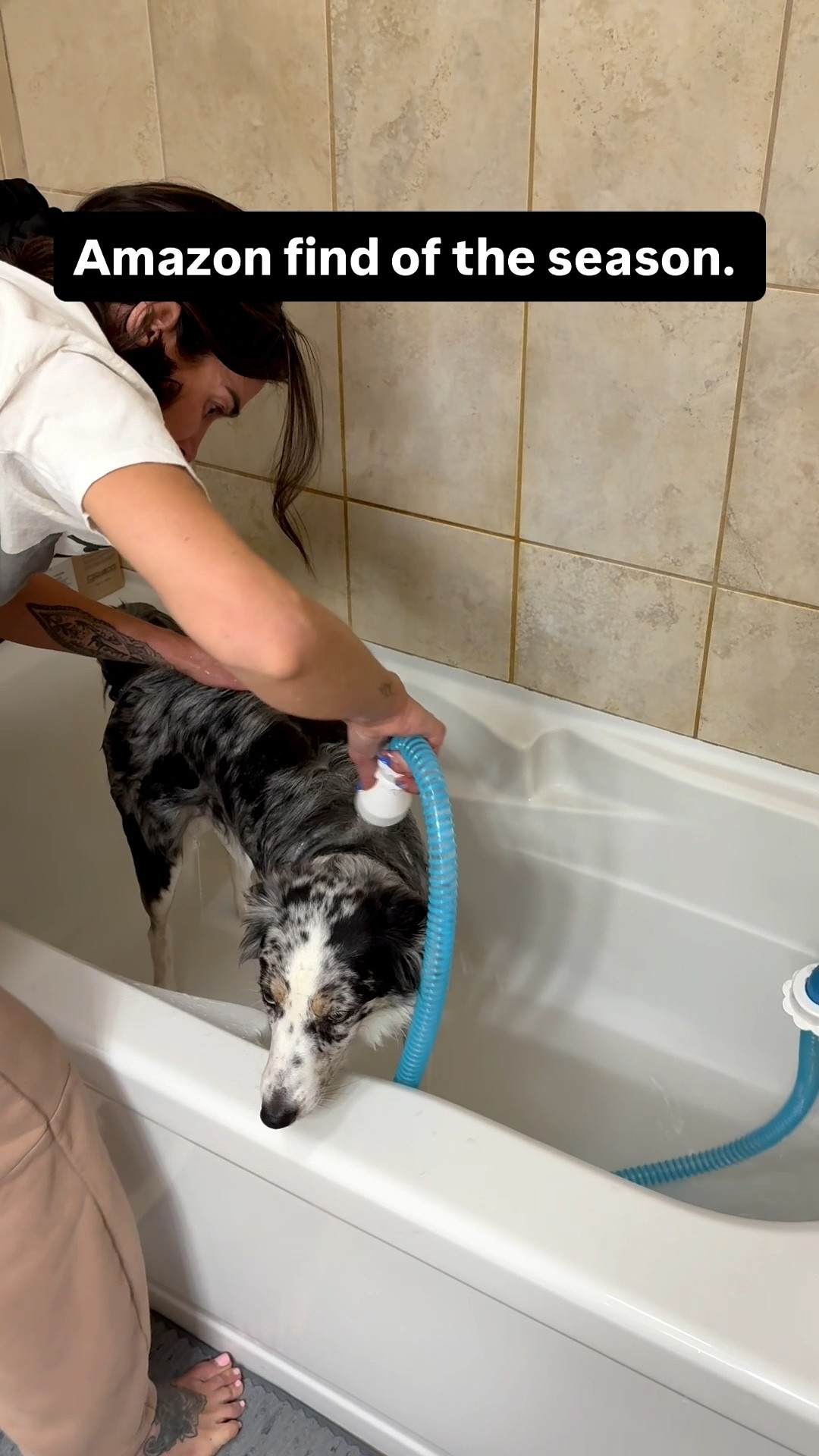 Amazon find of the season. We have 3 dogs and this was a saving grace for daily bath times with all this rain. 

#LTKHome #LTKU #LTKdayinmylife