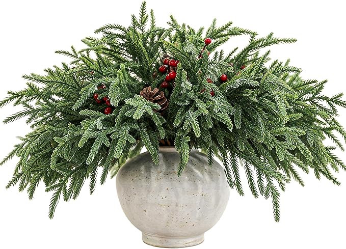 24 Pcs 18 Inch Real Touch Norfolk Pine Branches Christmas Greenery Stems with Pinecones & Red Ber... | Amazon (US)